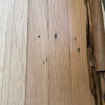 Sequoia Flooring - missing filler and poorly applied - Flooring Near Me - Van Nuys, California
