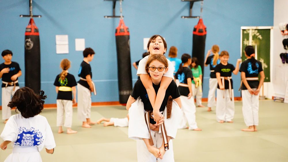Karatedo Shinyokai Logo