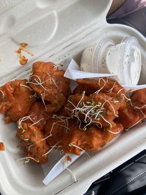 The Reizod Vegan Experience by null