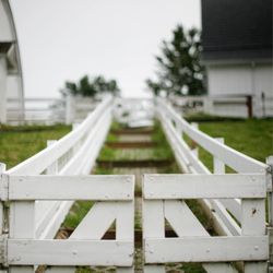 Kelsey Creek Farm Park