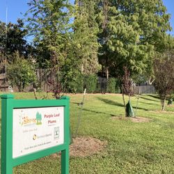 Edible Arbor Trail