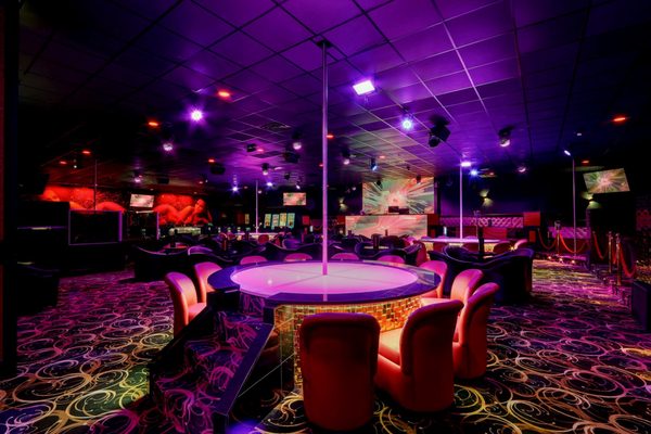 Silk Exotic Platinum