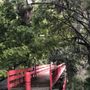 Photo of Hollywood Lions Park