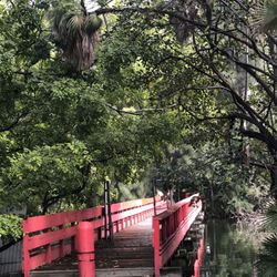 Hollywood Lions Park
