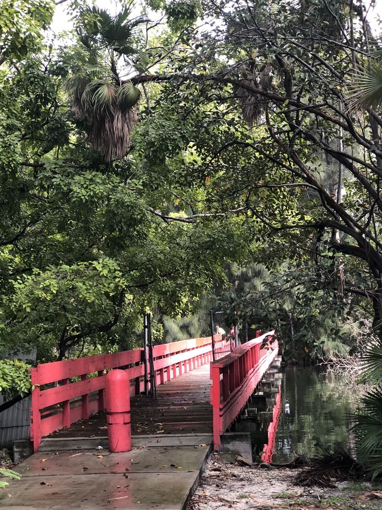 Hollywood Lions Park Image