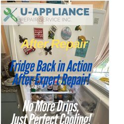 U-Appliance Repair Service - Fridge back in action