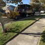 Photo of Nexus Tree Solutions