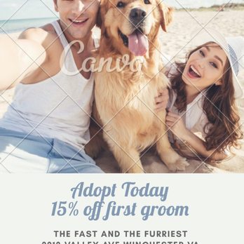 The Fast and the Furriest - Adopt today ! Everyone deserves a forever home ! One of the best pets are usually adopted ! - Pet Groomers Near Me - Winchester, Virginia The Fast and the Furriest - Adopt today ! Everyone deserves a forever home ! One of the best pets are usually adopted ! - Pet Groomers Near Me - Winchester, Virginia