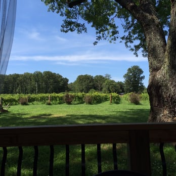 Viandel Vineyard - Vineyard view from the patio at Viandel's. - Wineries Near Me - Mountain View, Missouri