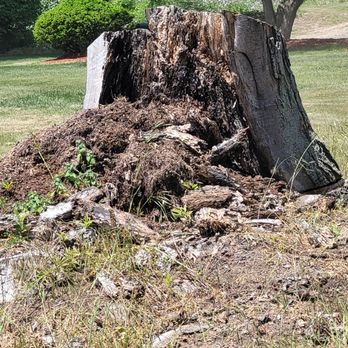 Carter's Stump Grinding - Enormous Stump in my customers front yard - Tree Services Near Me