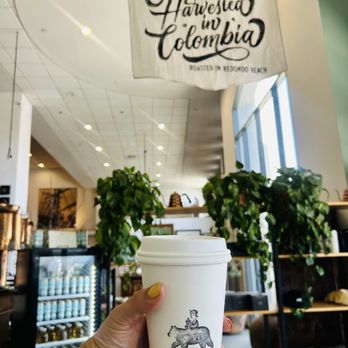 The Boy & The Bear - Cute coffee spot - Coffee & Tea Near Me - Los Angeles, California The Boy & The Bear - Cute coffee spot - Coffee & Tea Near Me - Los Angeles, California