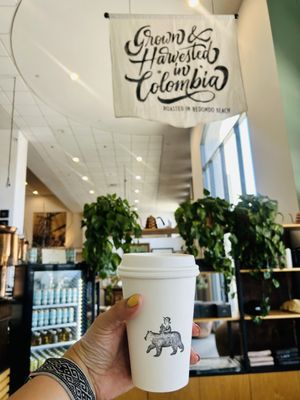 The Boy & The Bear - Sherman Oaks by null