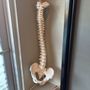 Photo of Renew Physical Therapy - Beacon Hill Clinic