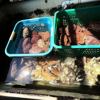 H.C. Seafood - Live Crab Tank - Seafood Near Me - Oxnard, California