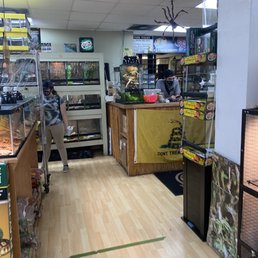 Store & employee Store & employee