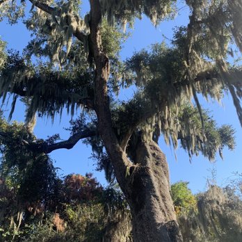 Fontainebleau State Park - Parks Near Me - Mandeville, Louisiana