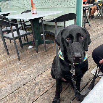 Tognazzini's Dockside Too - patio-only pet friendly seating - Seafood Near Me - Morro Bay, California