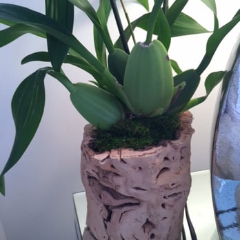 Lee's Orchids - Custom wood container for my orchid. - Florists Near Me - Los Angeles, California Lee's Orchids - Custom wood container for my orchid. - Florists Near Me - Los Angeles, California