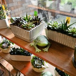 Royer's Flowers & Gifts