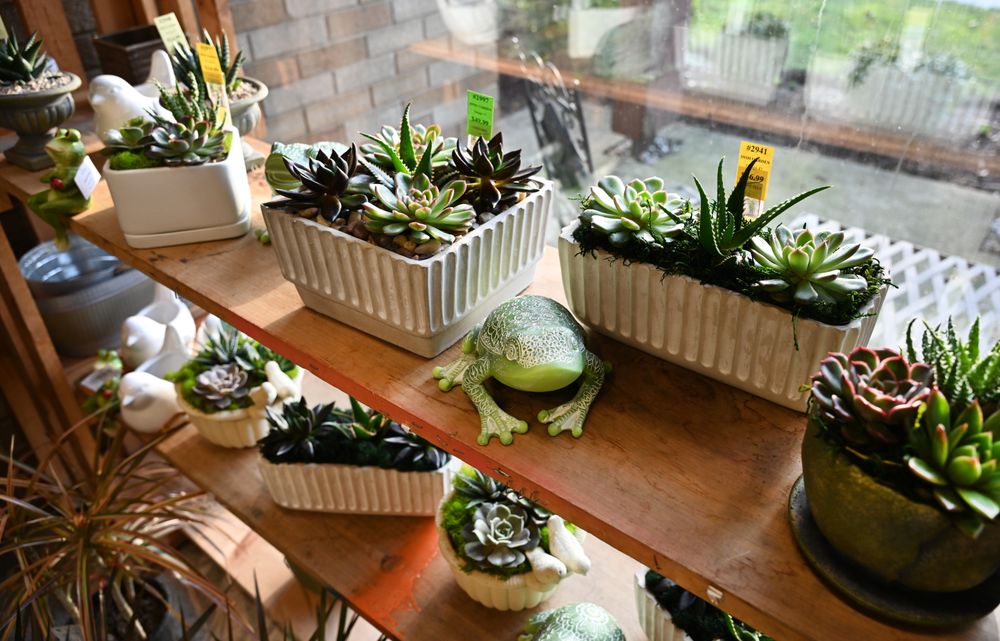 ROYER’S FLOWERS & GIFTS Updated August 2024 12 Photos 810 S 12th