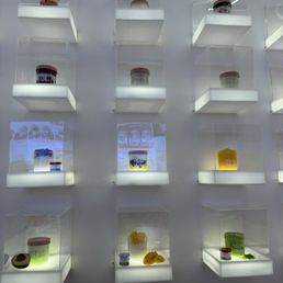 Museum style display Museum style display