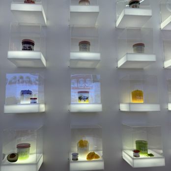 Melo Melo Coconut Dessert - Museum style display - Desserts Near Me - Milpitas, California Melo Melo Coconut Dessert - Museum style display - Desserts Near Me - Milpitas, California