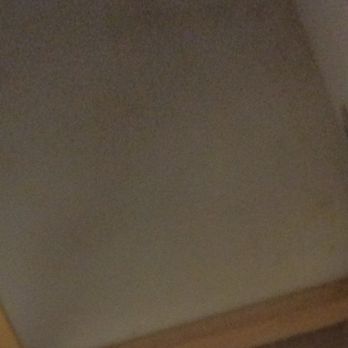 Woodland - I deposited $500 even Can't cover this - Apartments Near Me - Olympia, Washington Woodland - I deposited $500 even Can't cover this - Apartments Near Me - Olympia, Washington