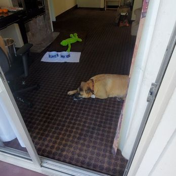 Los Gatos Lodge - Boomer kickin' it - Hotels Near Me - Los Gatos, California