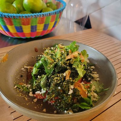 Kahlo & Loyal by null