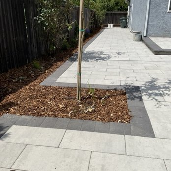 Forever Green Cali - Side yard - Landscaping Near Me Forever Green Cali - Side yard - Landscaping Near Me