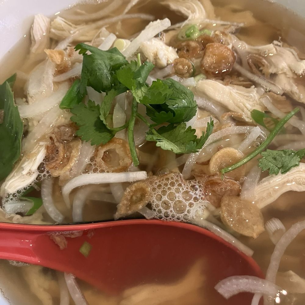 Chicken PHO NOODLE SOUP