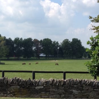 Red State BBQ - This is the great view across the street from the restaurant - Barbeque Near Me - Lexington, Kentucky