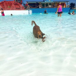 Hounds at Hawaiian Falls! Hounds at Hawaiian Falls!