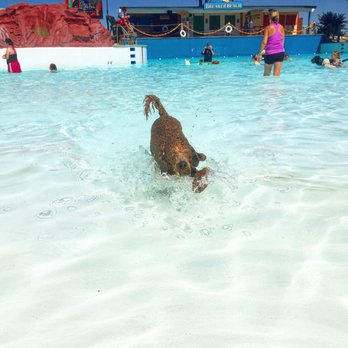 Hawaiian Falls Mansfield - Hounds at Hawaiian Falls! - Water Parks Near Me - Mansfield, Texas Hawaiian Falls Mansfield - Hounds at Hawaiian Falls! - Water Parks Near Me - Mansfield, Texas