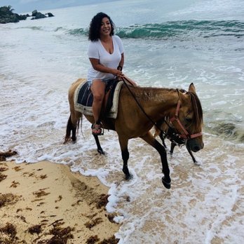 Colon Horseback Riding - Horseback Riding Near Me - Vieques, Puerto Rico Colon Horseback Riding - Horseback Riding Near Me - Vieques, Puerto Rico