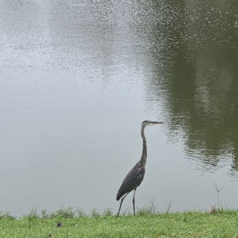 Forest Oaks Park - Parks Near Me - Spring, Texas Forest Oaks Park - Parks Near Me - Spring, Texas