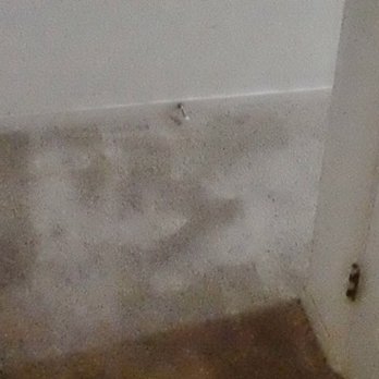 Beale Carpet Cleaning - Nice smooth carpeting, like new. - Carpet Cleaning Near Me - Sonoma, California Beale Carpet Cleaning - Nice smooth carpeting, like new. - Carpet Cleaning Near Me - Sonoma, California