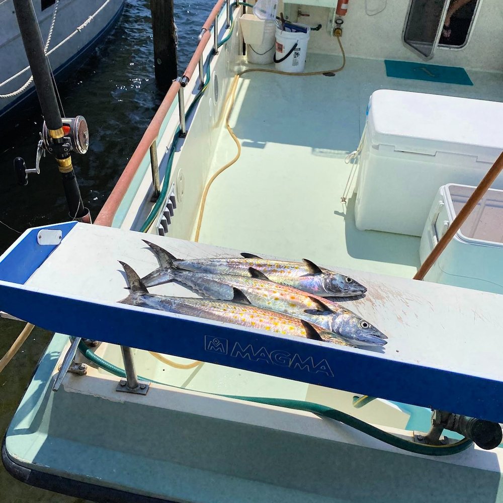 Captain Blacks Fishing - Spanish mackerel - Fishing Near Me - Panama City, Florida