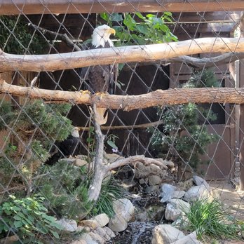Wildlife Learning Center - Zoos Near Me - Sylmar, California