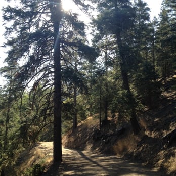 Tehachapi Mountain Park - Awesome views !!! - Hiking Near Me - Tehachapi, California