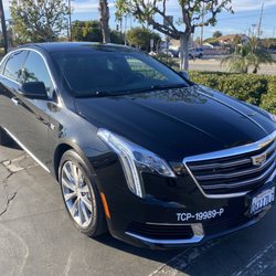 Winn Limo Service - Cadillac XTS sedan-Corporate Sedan up to 3 passengers and 2 pieces of Luggage.