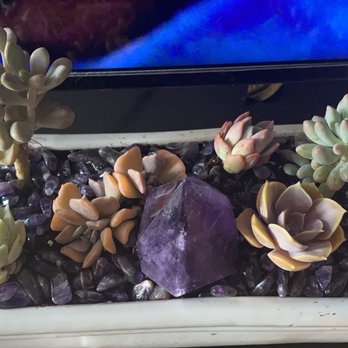 Kim's Nature - Nurseries & Gardening Near Me - Markham, Ontario