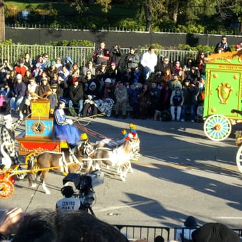 Pasadena Tournament of Roses - miniature carriages=miniature horses - Local Flavor Near Me - Pasadena, California Pasadena Tournament of Roses - miniature carriages=miniature horses - Local Flavor Near Me - Pasadena, California
