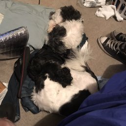 Sorry for the mess i has just moved .... couldn't find my jeans