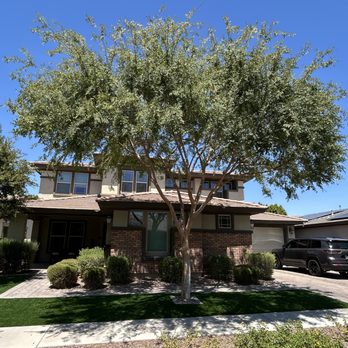Starlight Landscaping - After - Tree Services Near Me - Mesa, Arizona Starlight Landscaping - After - Tree Services Near Me - Mesa, Arizona