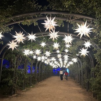 Descanso Gardens - Enchanted: Forest of Light (holiday lights display) - Botanical Gardens Near Me - La Canada Flintridge, California Descanso Gardens - Enchanted: Forest of Light (holiday lights display) - Botanical Gardens Near Me - La Canada Flintridge, California