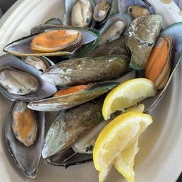 Mussels Mussels
