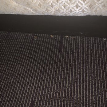 DoubleTree by Hilton Hotel Downtown Wilmington - Legal District - Sunflower seeds under the bed. Not cleaned at all. - Hotels Near Me - Wilmington, Delaware DoubleTree by Hilton Hotel Downtown Wilmington - Legal District - Sunflower seeds under the bed. Not cleaned at all. - Hotels Near Me - Wilmington, Delaware