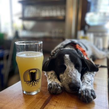 Burgeon at the Oasis - Pup and a pint - Breweries Near Me - Escondido, California