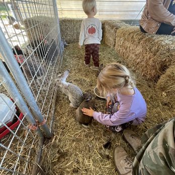 Zittel Farms - Petting zoo - rabbits and chickens - Farms Near Me - Folsom, California Zittel Farms - Petting zoo - rabbits and chickens - Farms Near Me - Folsom, California